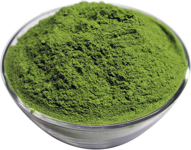 buy wheat grass powder in bulk