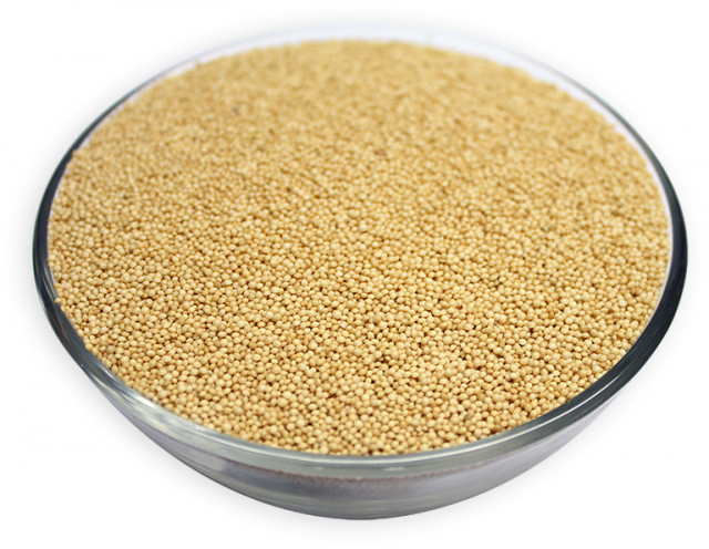 Buy Organic Amaranth Grain Seeds Online | Nuts in Bulk