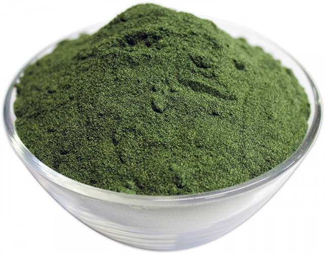 buy organic green blend in bulk