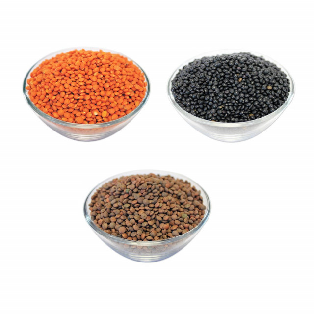 Buy Lentils in Bulk Online | Nuts in Bulk