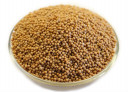 buy mustard seeds in bulk